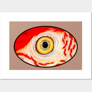 The eye has it 2 Posters and Art